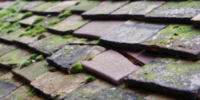 Woodcote roof repair costs